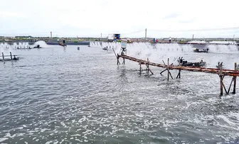 Hướng đến mục tiêu phát triển thủy sản xanh, phát thải thấp