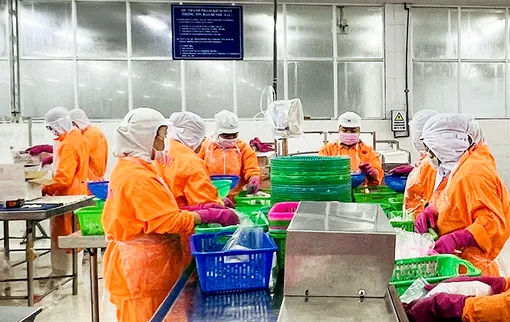 Các khu, cụm công nghiệp tập trung có tổng giá trị sản xuất trên 80.387 tỉ đồng