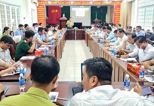 Triển khai công tác điều tra, xác định hiện trạng rừng trên địa bàn TP Cần Thơ