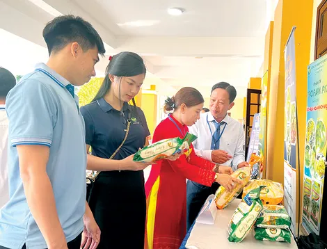 TP Cần Thơ có thêm 24 HTX thành lập mới