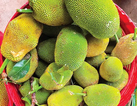 DẠO QUANH THỊ TRƯỜNG (26-6-2026)