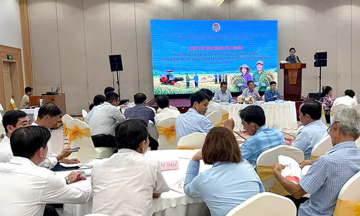 Thúc đẩy canh tác lúa thân thiện với môi trường