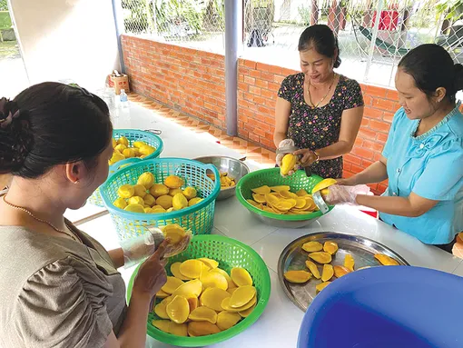 Nghiên cứu, sản xuất thành công xoài Cát Chu sấy dẻo theo công nghệ sấy lạnh