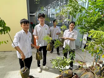 Cấp phát 1.600 cây xanh xây dựng mô hình tuyến đường xanh - sạch - đẹp