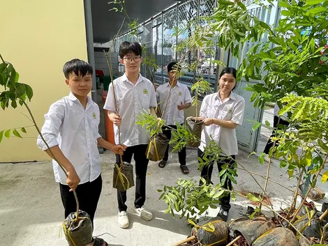 Cấp phát 1.600 cây xanh xây dựng mô hình tuyến đường xanh - sạch - đẹp