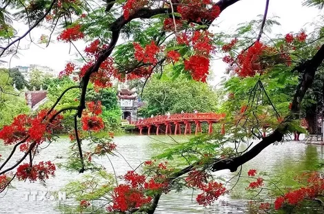 29 luật quan trọng bắt đầu có hiệu lực thi hành kể từ ngày 1/7 sắp tới