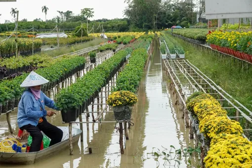 Phát triển nghề thủ công truyền thống ở vùng ĐBSCL trong bối cảnh mới