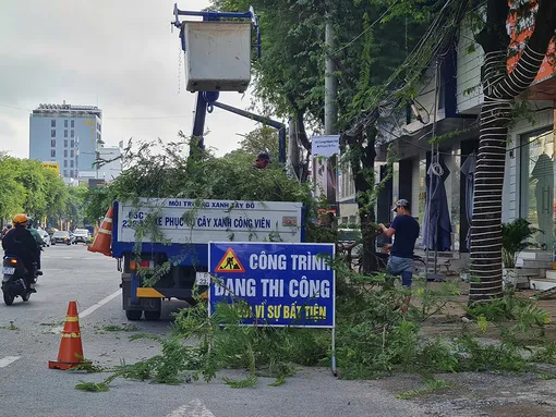 Bão, áp thấp nhiệt đới sẽ bắt đầu xuất hiện trong tháng 7