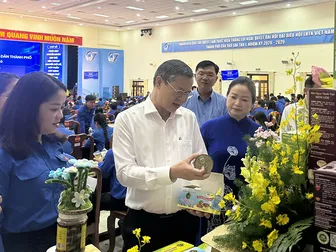 Phấn đấu hỗ trợ ít nhất 25 dự án khởi nghiệp của thanh niên