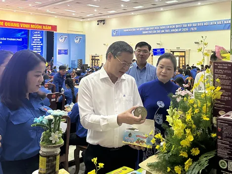 Phấn đấu hỗ trợ ít nhất 25 dự án khởi nghiệp của thanh niên