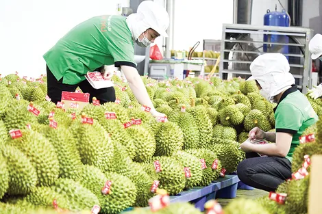 Đổi mới tư duy, nâng cao năng lực thích ứng