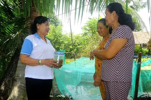 “Đòn bẩy” giúp phụ nữ thoát nghèo