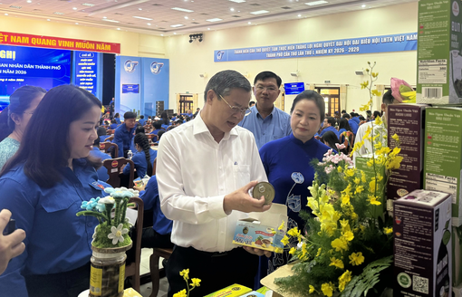 ខិតខំឧបត្ថម្ភយ៉ាងតិច ២៥ គម្រោងផ្តើមអាជីពរបស់យុវជន