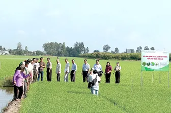 Sản xuất nông nghiệp chất lượng cao cho hiệu quả cao