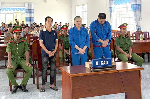 Liên quan đến ma túy, 3 bị cáo lãnh án tù