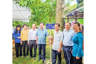 Phát huy hiệu quả vườn cây măng cụt