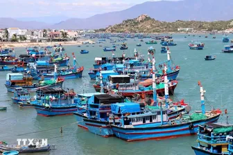 Từ ngày 18/8, vi phạm trong lĩnh vực thủy sản có thể bị phạt tới 2 tỷ đồng