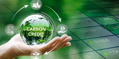 Lộ trình chuyển đổi từ tự nguyện sang bắt buộc trong kiểm kê khí mê-tan tại Việt Nam