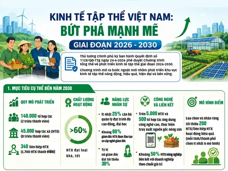[INFOGRAPHICS] Kinh tế tập thể Việt Nam: Bứt phá mạnh mẽ giai đoạn 2026-2030