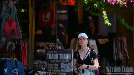 Triển vọng mới cho ngành du lịch Việt từ phân khúc FIT