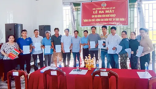 Ra mắt Chi hội Nông dân nghề nghiệp trồng lúa chất lượng cao