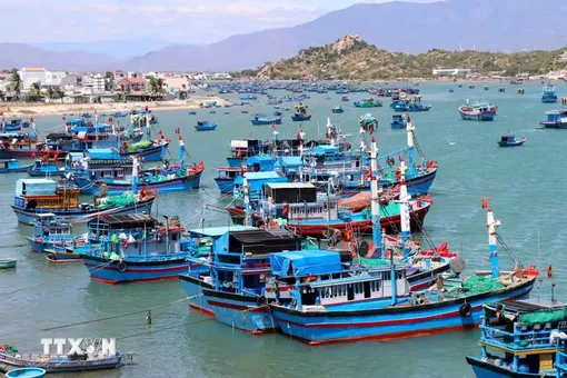 Từ ngày 18/8, vi phạm trong lĩnh vực thủy sản có thể bị phạt tới 2 tỷ đồng