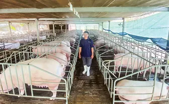 Phát triển chăn nuôi gia súc, gia cầm theo mô hình tập trung, an toàn sinh học, ứng dụng công nghệ cao