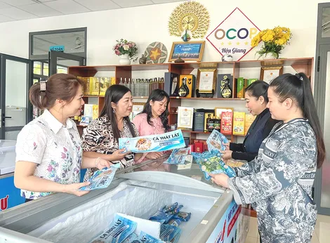 Hợp tác xã bứt phá nhờ liên kết chuỗi giá trị