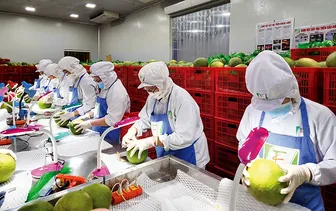 Tái định vị, khơi thông động lực phát triển kinh tế tư nhân và kinh tế nhà nước Tái định vị, khơi thông động lực phát triển kinh tế tư nhân và kinh tế nhà nước