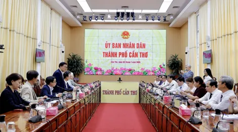 TP Cần Thơ trao đổi định hướng hợp tác với các đối tác Hàn Quốc