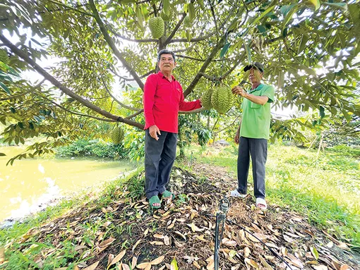 Hỗ trợ hợp tác xã nông nghiệp phát triển
