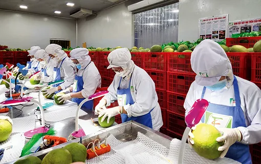 Tái định vị, khơi thông động lực phát triển kinh tế tư nhân và kinh tế nhà nước