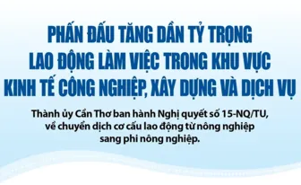 [INFOGRAPHICS] Phấn đấu tăng dần tỷ lệ lao động trong khu vực kinh tế công nghiệp, xây dựng và dịch vụ