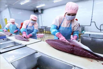 Thương mại Việt Nam - Israel hướng tới mốc 4 tỉ USD