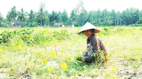 Phòng chống thoái hóa đất