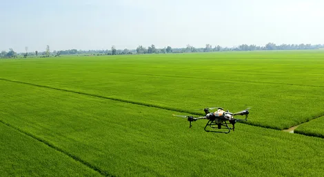 Tăng cường bảo vệ lúa hè thu trong mùa mưa, bão