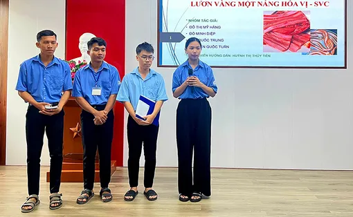 Tuyển chọn 10 dự án xuất sắc bước vào vòng ươm tạo Mekong Startup Incubator 2026
