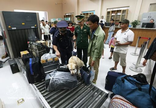Nearly 20,000 smuggling, counterfeit cases handled in H1