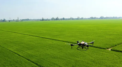 Tăng cường bảo vệ lúa hè thu trong mùa mưa, bão