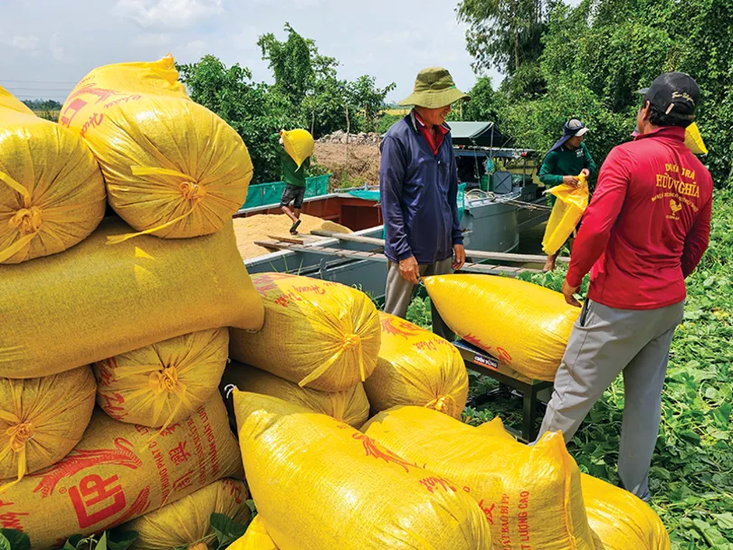 Dạo quanh thị trường