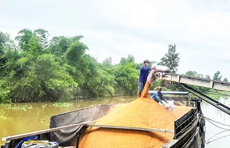 Khẳng định vị thế “đầu tàu”