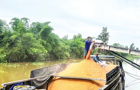 Khẳng định vị thế “đầu tàu”