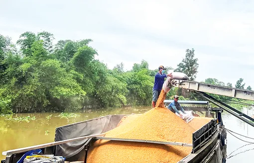 Khẳng định vị thế “đầu tàu”