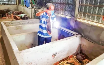 Quan tâm quản lý động vật rừng