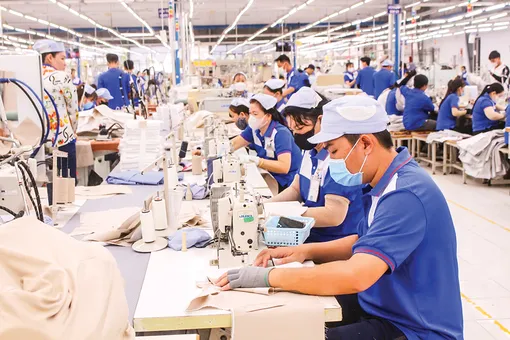 Quy mô nền kinh tế TP Cần Thơ 6 tháng đầu năm 2026 đạt 165.000-168.000 tỉ đồng