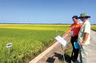 Hiểu đúng, làm nghiêm để xây dựng và giữ vững thương hiệu nông sản