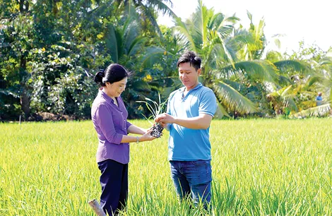 Hỗ trợ nông dân phát triển sản xuất