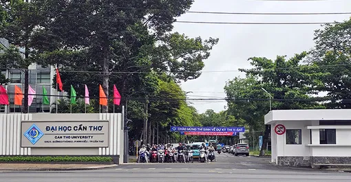 Đại học Cần Thơ công bố điểm sàn xét tuyển vào các ngành đại học chính quy năm 2026