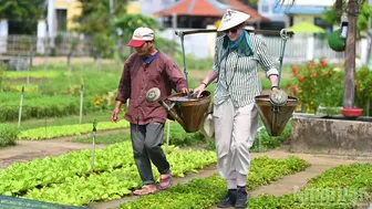 Khám phá Việt Nam trong cuộc phiêu lưu đa giác quan