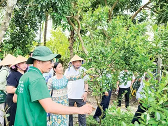 Tiếp sức cho nông nghiệp hữu cơ